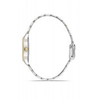 Ferro Sarı ve Gümüş Çelik Kordon Kadın Kol Saati FL21766A-D3 3ATM Su Geçirmez 2 Yıl Garantili