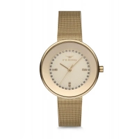 F81808C-805-B Ferro Kadýn Kol Saati