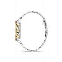 Ferro Sarı ve Gümüş Çelik Kordon Erkek Kol Saati FM11533A-D6 Fonksiyonları Aktif 3ATM Su Geçirmez