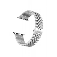 Ferro Gümüş Çelik 44 mm Saat Kordonu FSWMK244-A