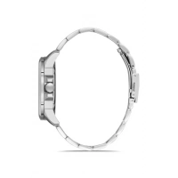 Ferro Gümüş Çelik Kordon Erkek Kol Saati F11208A-A3