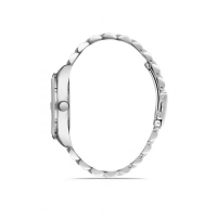 Ferro Silver Steel Strap Mens Wristwatch F11247A-A3