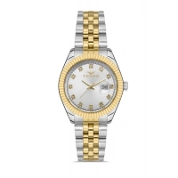 Ferro Gümüş Çelik Kordon Kadın Kol Saati FL21294A-D