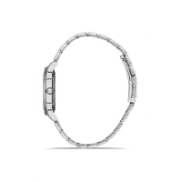 Ferro Silver Steel Strap Womens Wristwatch FL21330A-A