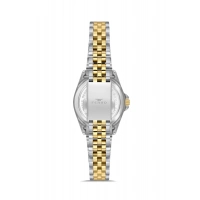 Ferro Gümüş Çelik Kordon Kadın Kol Saati FL21542AWT-D 3ATM Su Geçirmez 2 Yıl Garantili HediyePaketli