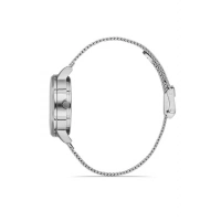 Ferro Silver Mesh Strap Womens Wristwatch F21934C-A3