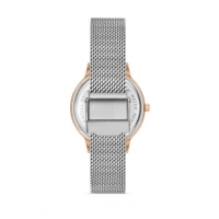 Ferro Silver Mesh Strap Womens Wristwatch F21934C-E