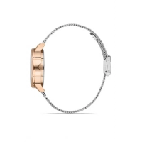 Ferro Silver Mesh Strap Womens Wristwatch F21934C-E