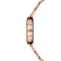 Ferro Rose Steel Strap Womens Wristwatch F21100A-C