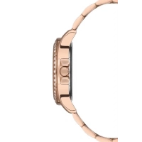 Ferro Rose Steel Strap Womens Wristwatch F21140A-C
