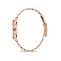 Ferro Rose Steel Strap Womens Wristwatch F21929A-C