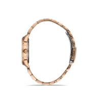 Ferro Rose Steel Strap Womens Wristwatch FL21262A-C