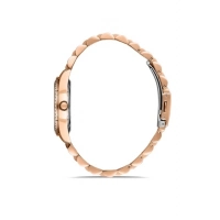 Ferro Rose Steel Strap Womens Wristwatch FL21263A-C