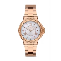 Ferro Rose Steel Strap Womens Wristwatch FL21272A-C