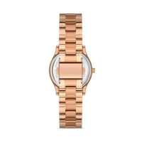 Ferro Rose Steel Strap Womens Wristwatch FL21286A-C6