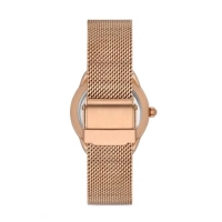 Ferro Rose Mesh Strap Womens Wristwatch F21152C-C