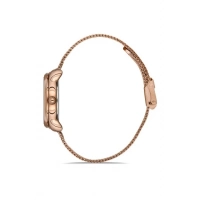 Ferro Rose Mesh Strap Womens Wristwatch F21152C-C