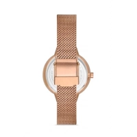 Ferro Rose Mesh Strap Womens Wristwatch F21153C-C