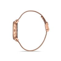 Ferro Rose Mesh Strap Womens Wristwatch F21153C-C