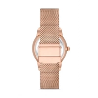 Ferro Rose Mesh Strap Womens Wristwatch F21182C-C