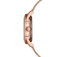 Ferro Rose Mesh Strap Womens Wristwatch F21182C-C