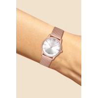 Ferro Rose Mesh Strap Womens Wristwatch F21182C-C