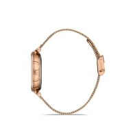 Ferro Rose Mesh Strap Womens Wristwatch F21232C-C