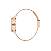 Ferro Rose Mesh Strap Womens Wristwatch F21934C-C