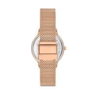 Ferro Rose Mesh Strap Womens Wristwatch F21934C-C