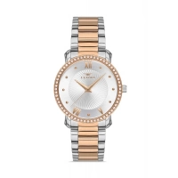 Ferro Rose and Silver Steel Strap Womens Wristwatch FL21261A-E