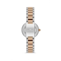 Ferro Rose ve Gümüş Çelik Kordon Kadın Kol Saati FL21493A-E13