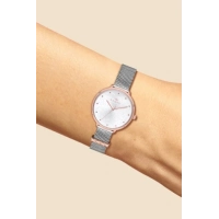Ferro Rose and Silver Mesh Strap Womens Wristwatch F21087C-E