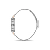 Ferro Rose and Silver Mesh Strap Womens Wristwatch FL21318C-E