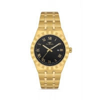 Ferro Sarı Çelik Kordon Erkek Kol Saati F11474A-B2 3 ATM Su Geçirmez 2 Yıl Garantili Hediye Paketli