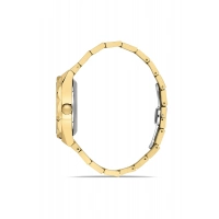 Ferro Sarı Çelik Kordon Erkek Kol Saati F31538AWT-B4 3ATM Su Geçirmez 2 Yıl Garantili HediyePaketli