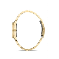 Ferro Sarı Çelik Kordon Kadın Kol Saati FL21294A-B