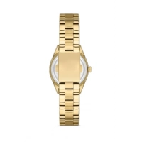 Ferro Sarı Çelik Kordon Kadın Kol Saati FL21295A-B