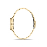 Ferro Sarı Çelik Kordon Kadın Kol Saati FL21295A-B