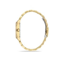 Ferro Sarı Celik Kordon Kadın Kol Saati FL21442A-B