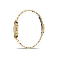 Ferro Sarı Celik Kordon Kadın Kol Saati FL21469A-B6