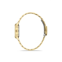 Ferro Sarı Çelik Kordon kadın Kol Saati FL21480AWT-B