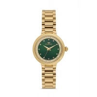 Ferro Sarı Çelik Kordon Kadın Kol Saati FL21493A-B6 3ATM Su Geçirmez 2 Yıl Garantili HediyePaketli