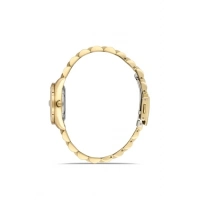 Ferro Sarı Çelik Kordon Kadın Kol Saati FL21519A-B6