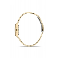 Ferro Sarı Çelik Kordon Kadın Kol Saati FL21610AWT-B