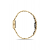 Ferro Sarı Çelik Kordon Kadın Kol Saati FL21764AWT-B