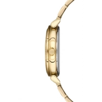 Ferro Sarı Çelik Kordon Kadın Kol Saati FL2994A-1132-B