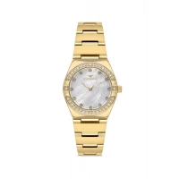 Ferro Sarı Çelik Kordon Kadın Kol Saati FL40119A-B