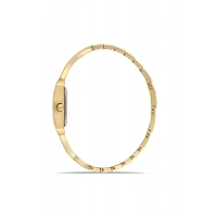 Ferro Sarı Çelik Kordon Kadın Kol Saati FL40155A-B2