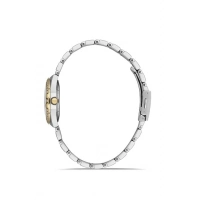 Ferro Sarı ve Gümüş Çelik Kordon Kadın Kol Saati FL40119A-D10