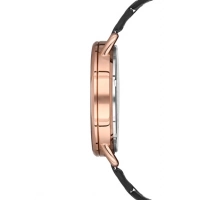 Ferro Black Steel Strap Mens Wristwatch F11064A-R